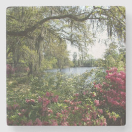 Posavasos De Piedra Azaleas, jardines de Airlie