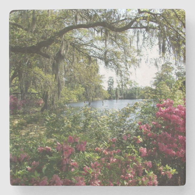 Posavasos De Piedra Azaleas, jardines de Airlie (Anverso)