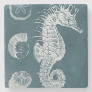 Posavasos De Piedra Azure Seahorse Study I