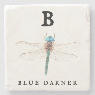 Posavasos De Piedra "B" Blue Darner