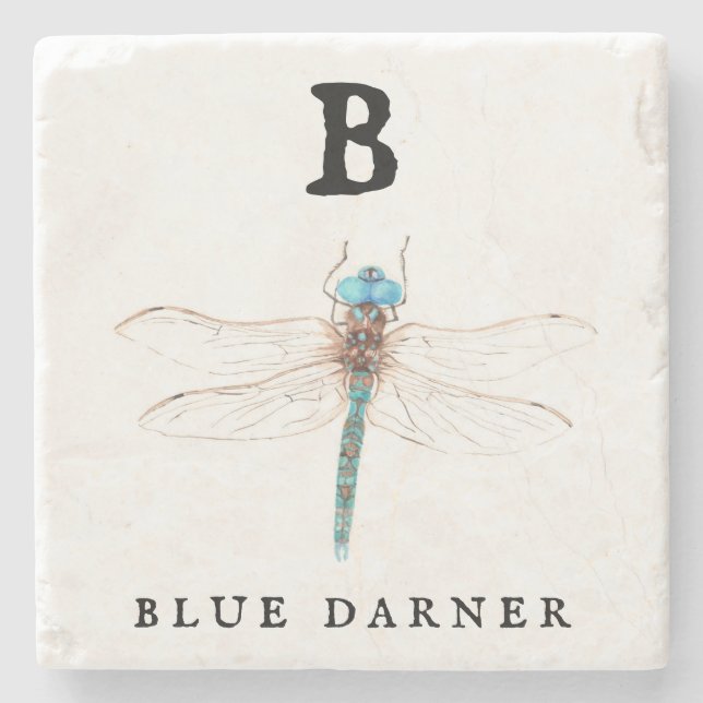 Posavasos De Piedra "B" Blue Darner (Anverso)