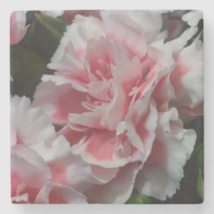 Posavasos De Piedra Baby Carnations