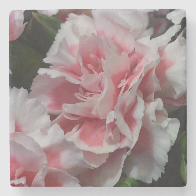 Posavasos De Piedra Baby Carnations (Anverso)