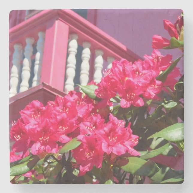 Posavasos De Piedra Balcón Primavera Rosa - Viñedo de Martha (Anverso)