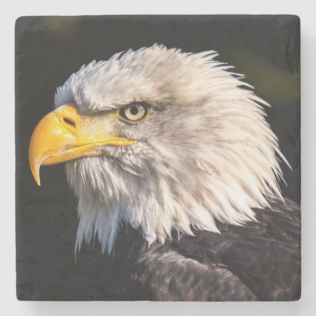 Posavasos De Piedra Bald Eagle (Anverso)