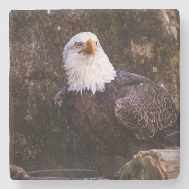 Posavasos De Piedra Bald Eagle (Anverso)