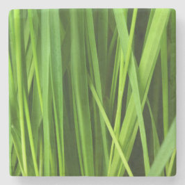 Posavasos De Piedra Barras de hierba