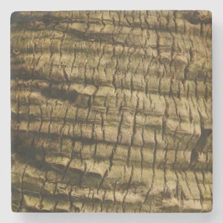 Posavasos De Piedra Barrera de árbol de palmas