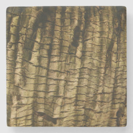 Posavasos De Piedra Barrera de árbol de palmas