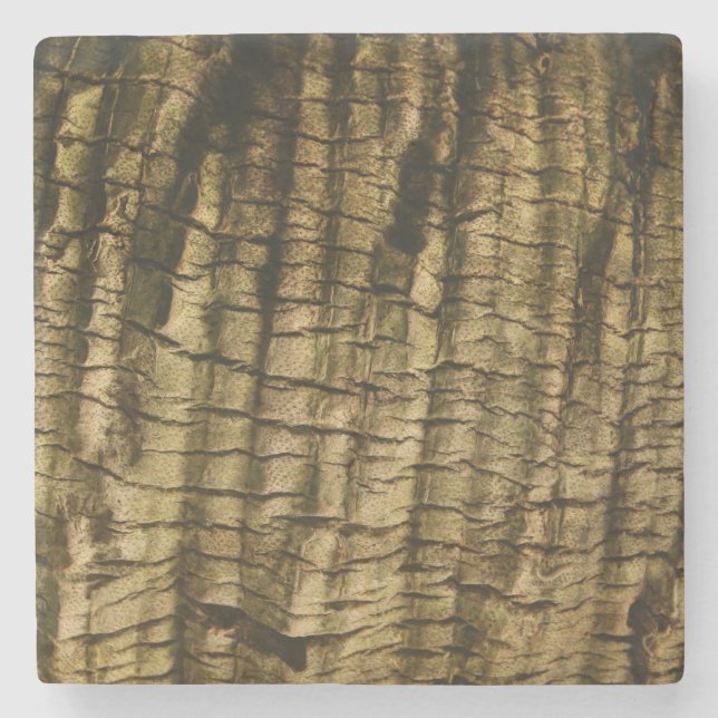 Posavasos De Piedra Barrera de árbol de palmas (Anverso)