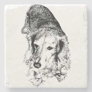 Posavasos De Piedra Bebe con columna vertebral – Dachshund
