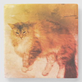 Posavasos De Piedra Beber de gato