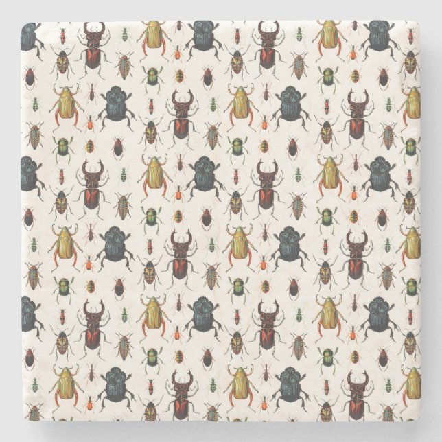 Posavasos De Piedra Beetles vintage (Anverso)