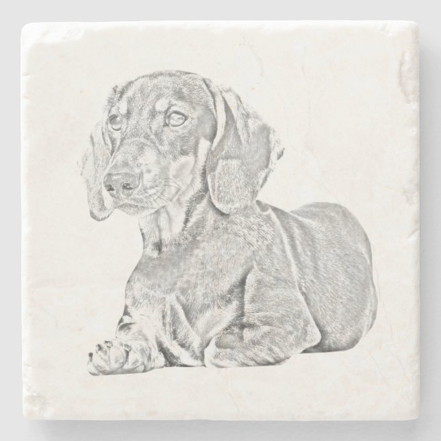 Posavasos De Piedra Bella Artes Lápiz Dachshund Márble Coaster (Anverso)