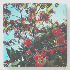 Posavasos De Piedra Bellas rojas