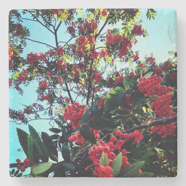 Posavasos De Piedra Bellas rojas (Anverso)