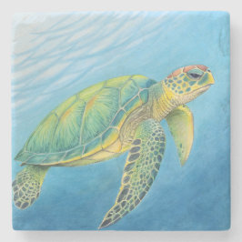 Posavasos De Piedra Belleza de la tortuga