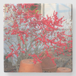 Posavasos De Piedra Berries rojas de invierno - Viñedo de Martha