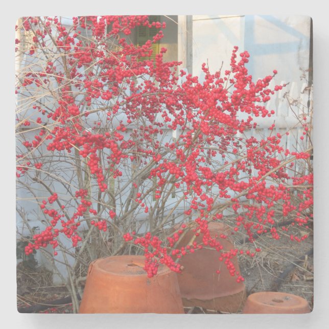 Posavasos De Piedra Berries rojas de invierno - Viñedo de Martha (Anverso)