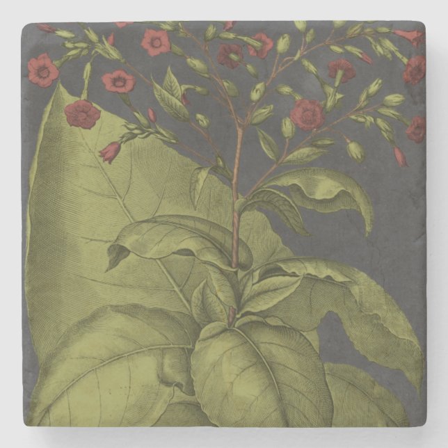 Posavasos De Piedra Besler Dramatique I (Anverso)