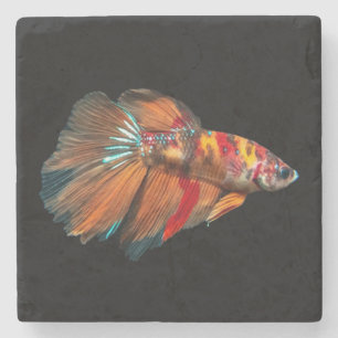 Posavasos De Piedra Betta Fish de media luna