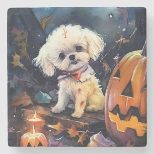 Posavasos De Piedra Bichon Frise de Halloween con calabazas espeluznan