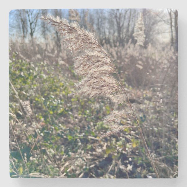 Posavasos De Piedra Bienvenida de otoño. (Anverso)