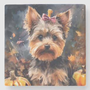 Posavasos De Piedra Biewer Terrier de Halloween con Calabazas Espeluzn