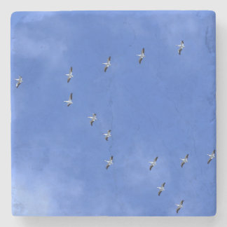 Posavasos De Piedra Bird