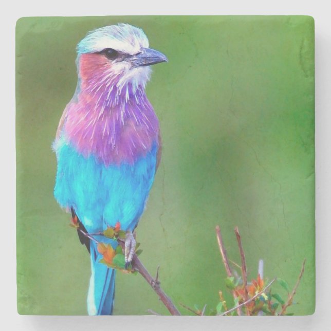 Posavasos De Piedra Bird blue _babero (Anverso)