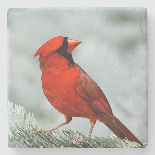 Posavasos De Piedra Bird red _coaster (Anverso)