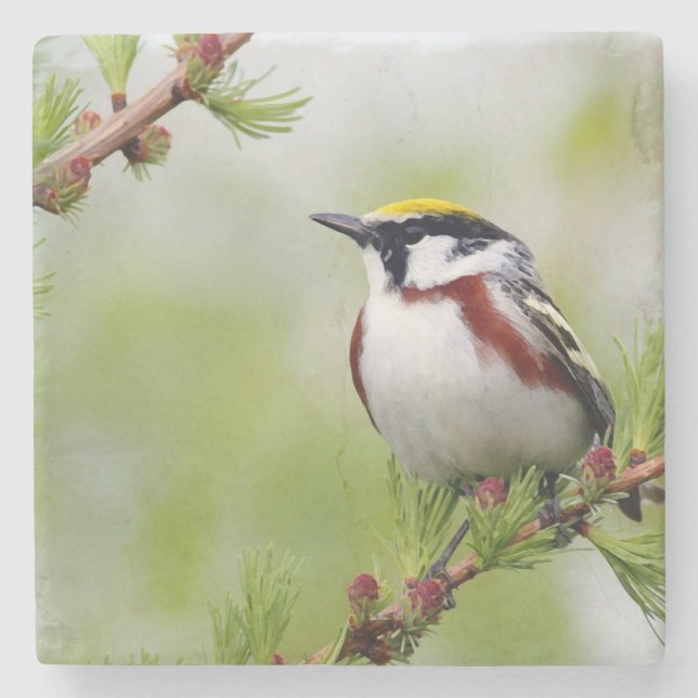 Posavasos De Piedra Bird yellow _coaster (Anverso)