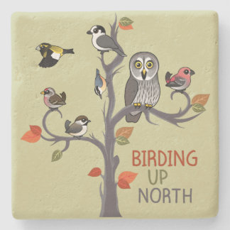 Posavasos De Piedra Birding encima del norte