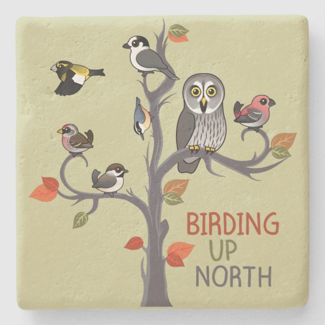 Posavasos De Piedra Birding encima del norte (Anverso)