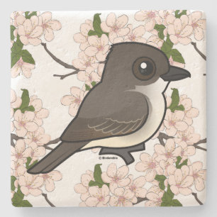 Posavasos De Piedra Birdorable Phoebe del este