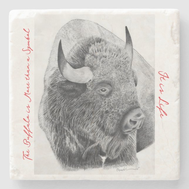 Posavasos De Piedra Bisonte Americano (Anverso)