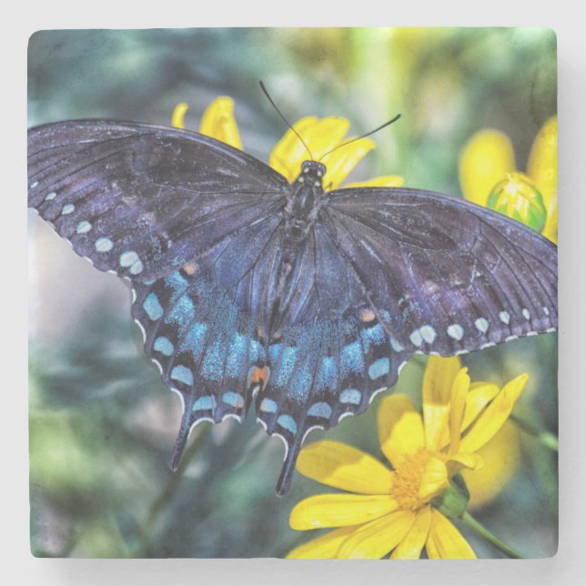 Posavasos De Piedra Black Swallowtail en flores amarillas (Anverso)