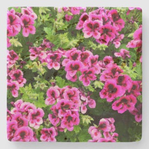 Posavasos De Piedra "Blooms vibrantes: Geranios rosados calientes sobr