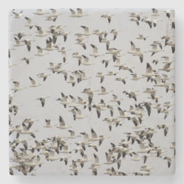 Posavasos De Piedra Bloque de gansos en vuelo