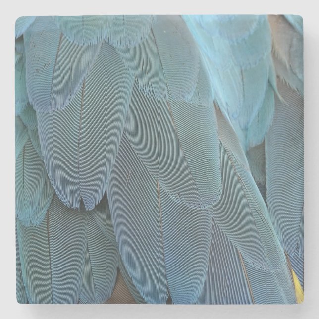 Posavasos De Piedra Blue Feather (Anverso)