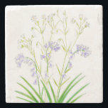 Posavasos De Piedra Bluebells y la escayola de piedra de costillas<br><div class="desc">Una impresión de mi dibujo con tinta de setos de primavera flores azules y hierbas costilladas.</div>
