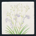 Posavasos De Piedra Bluebells y la escayola de piedra de costillas<br><div class="desc">Una impresión de mi dibujo con tinta de setos de primavera flores azules y hierbas costilladas.</div>