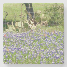 Bluebonnets And Cactus Marble Stone Coasters