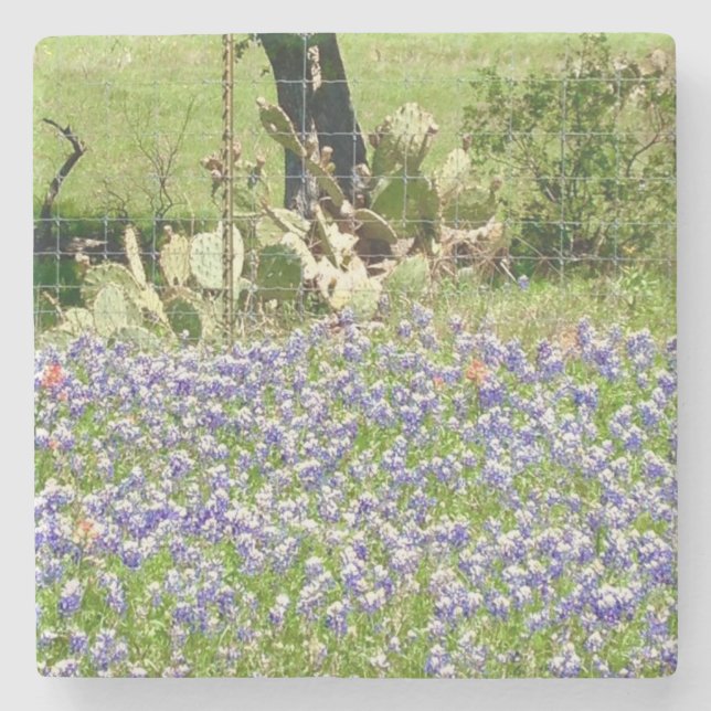 Posavasos De Piedra Bluebonnets And Cactus Marble Stone Coasters (Anverso)