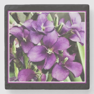 Posavasos De Piedra Bonito en la flor morada