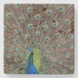 Posavasos De Piedra Bonito Peacock