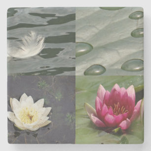 Posavasos De Piedra Bonito Water Lilies