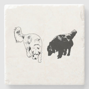 Posavasos De Piedra Borde posterior al brillo — Duo de recuperación