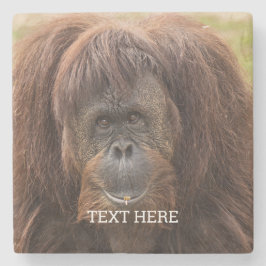 Posavasos De Piedra Borneo Orangutan Beautiful Photography
