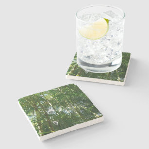 Posavasos De Piedra Bosque de palmeras Naturaleza tropical